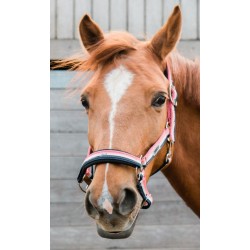 Lessen - 3 oktober 2020 -...